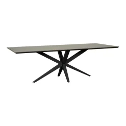 Eettafels< Eettafel Enjoy Bruin - 240x100 cm