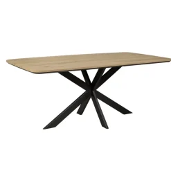 Eettafels< Eettafel Holendrecht Naturel - 200x100 cm