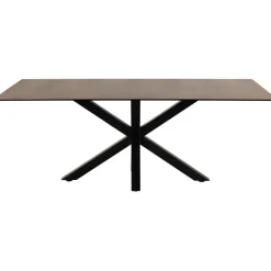 Eettafels< Eettafel Vikten Bruin - 200x100 cm