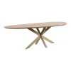 Eettafels< Eettafel Woodley Naturel - 250x115 cm