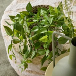 Kunstplanten & Bloemen< Hangplant Philodendron Groen - 90 cm hoog