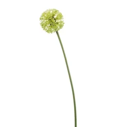 Kunstplanten & Bloemen< Kunstbloem Allium Groen - 60 cm