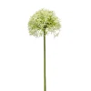 Kunstplanten & Bloemen< Kunstbloem Allium Groen - 62 cm