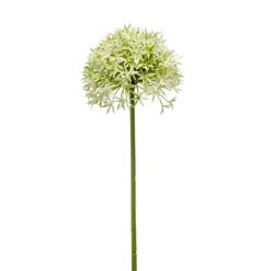 Kunstplanten & Bloemen< Kunstbloem Allium Groen - 62 cm