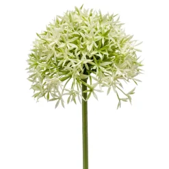 Kunstplanten & Bloemen< Kunstbloem Allium Groen - 62 cm