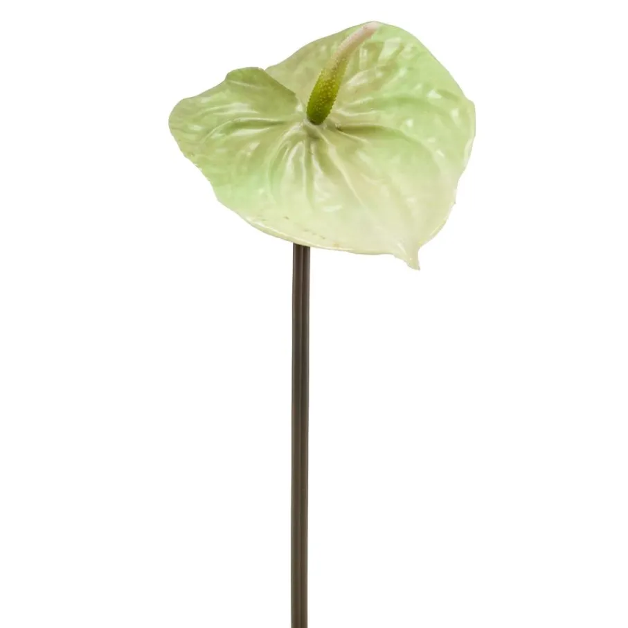 Kunstplanten & Bloemen< Kunstbloem Anthurium Groen - 65 cm