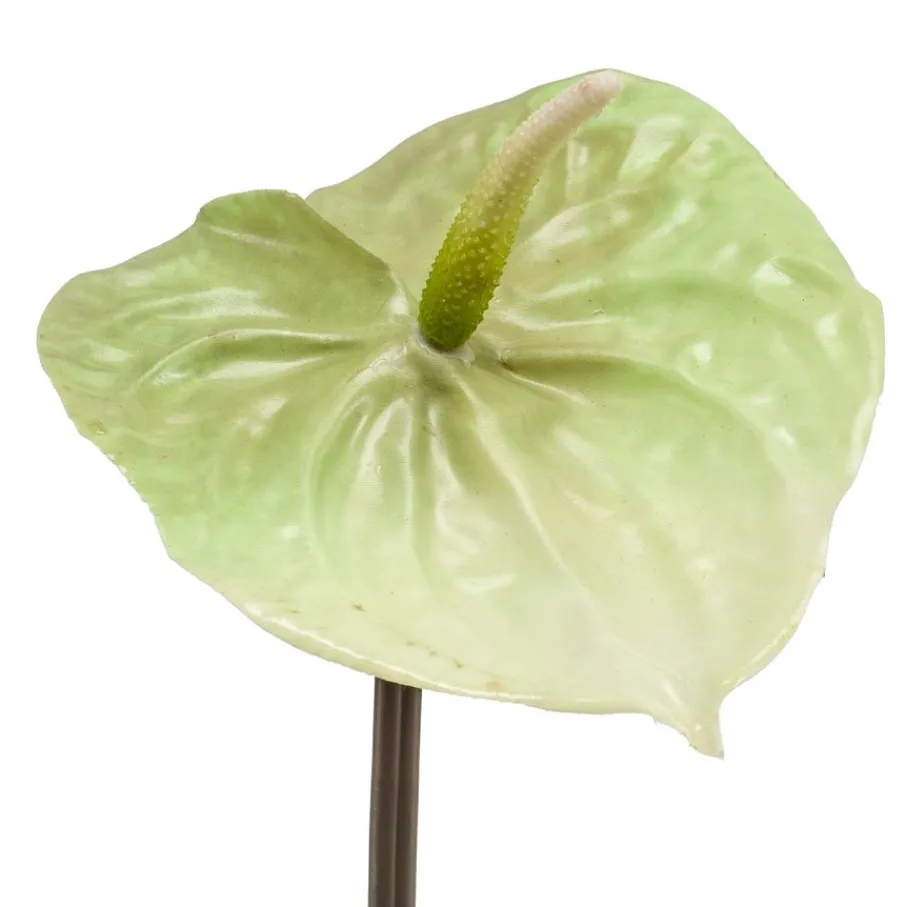 Kunstplanten & Bloemen< Kunstbloem Anthurium Groen - 65 cm