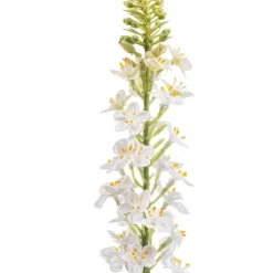 Kunstplanten & Bloemen< Kunstbloem Lysimachia Crème - 66 cm