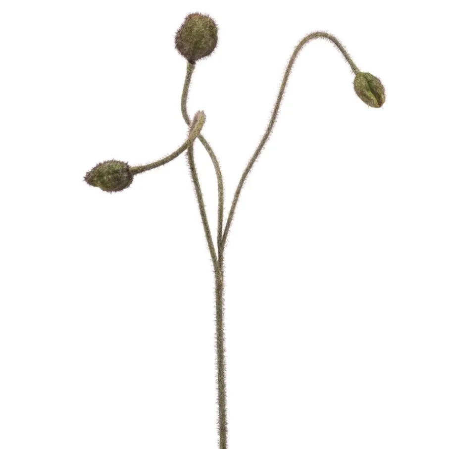 Kunstplanten & Bloemen< Kunstbloem Poppy Green - 75 cm