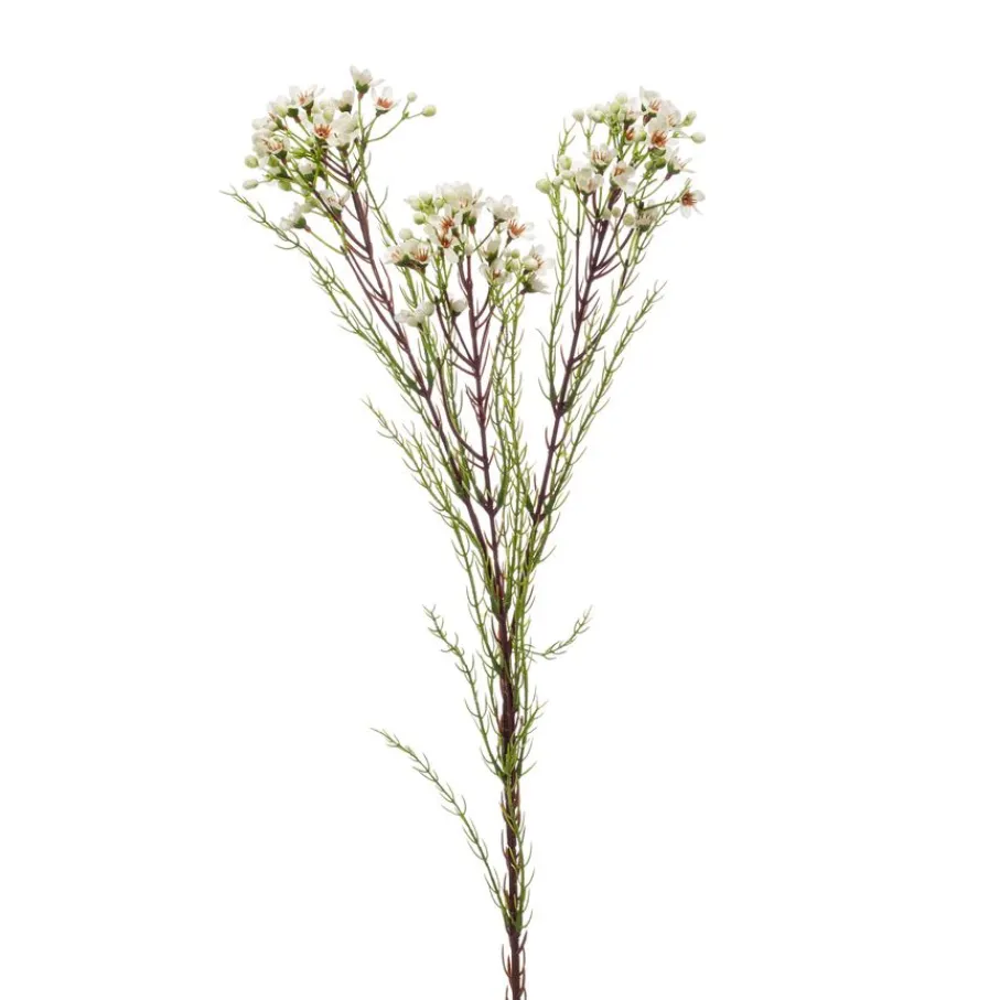 Kunstplanten & Bloemen< Kunstbloem Wax Crème - 78 cm