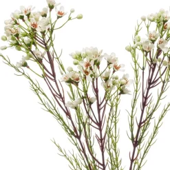 Kunstplanten & Bloemen< Kunstbloem Wax Crème - 78 cm