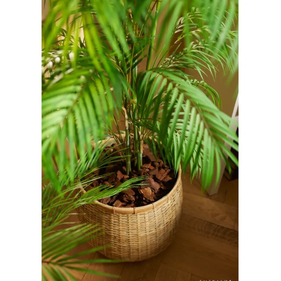 Kunstplanten & Bloemen< Kunstplant Chamaedorea Palm Groen - 120 cm hoog