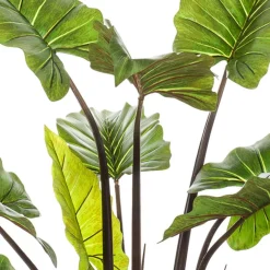 Kunstplanten & Bloemen< Kunstplant Colocasia Groen - 130 cm hoog