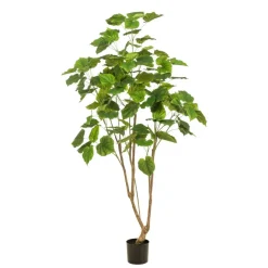 Kunstplanten & Bloemen< Kunstplant Ficus Umbellata Groen - 180 cm hoog