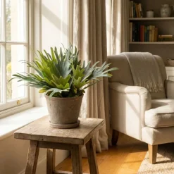 Kunstplanten & Bloemen< Kunstplant Staghorn Fern Groen - 35 cm hoog