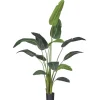 Kunstplanten & Bloemen< Kunstplant Strelitzia Groen - 230  cm hoog