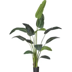 Kunstplanten & Bloemen< Kunstplant Strelitzia Groen - 230 cm hoog