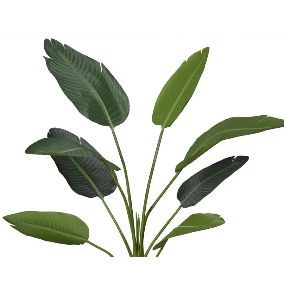 Kunstplanten & Bloemen< Kunstplant Strelitzia Groen - 230 cm hoog