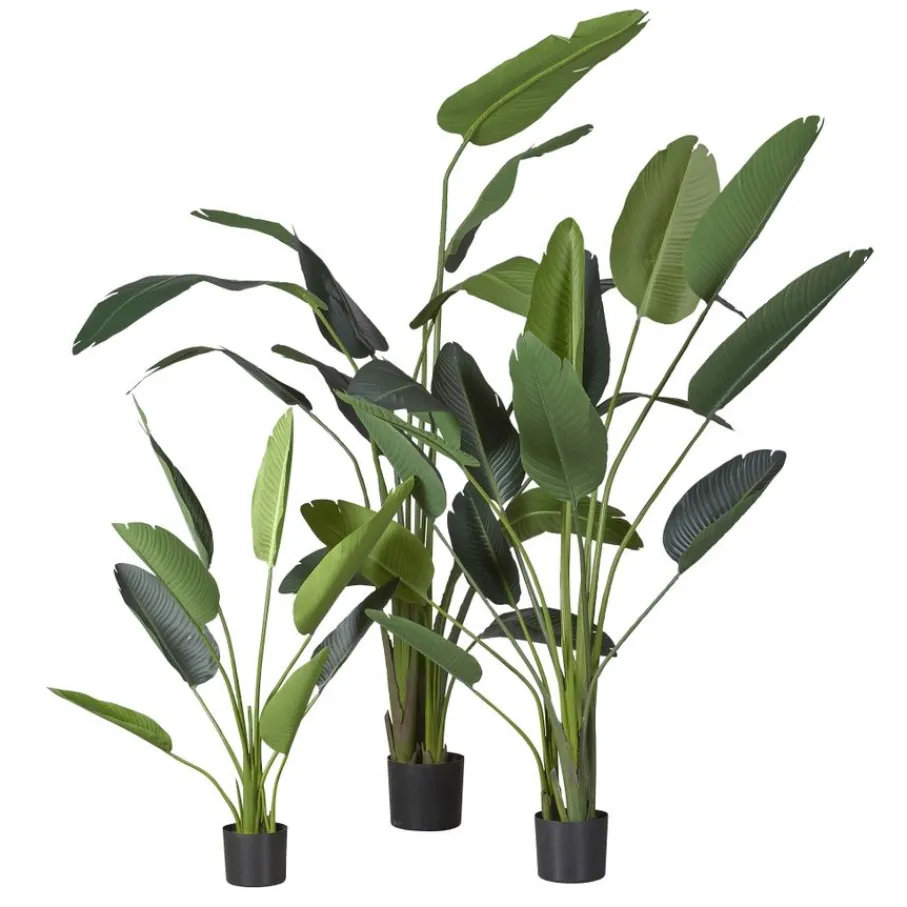 Kunstplanten & Bloemen< Kunstplant Strelitzia Groen - 230 cm hoog