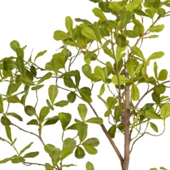 Kunstplanten & Bloemen< Kunstplant Terminalia Groen - 145 cm hoog