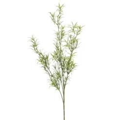 Kunstplanten & Bloemen< Kunsttak Asparagus Groen - 80 cm