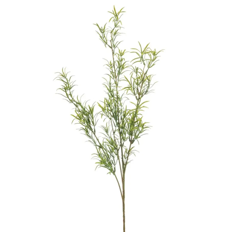 Kunstplanten & Bloemen< Kunsttak Asparagus Groen - 80 cm