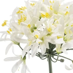 Kunstplanten & Bloemen< Kustbloem Agapanthus Wit - 80 cm