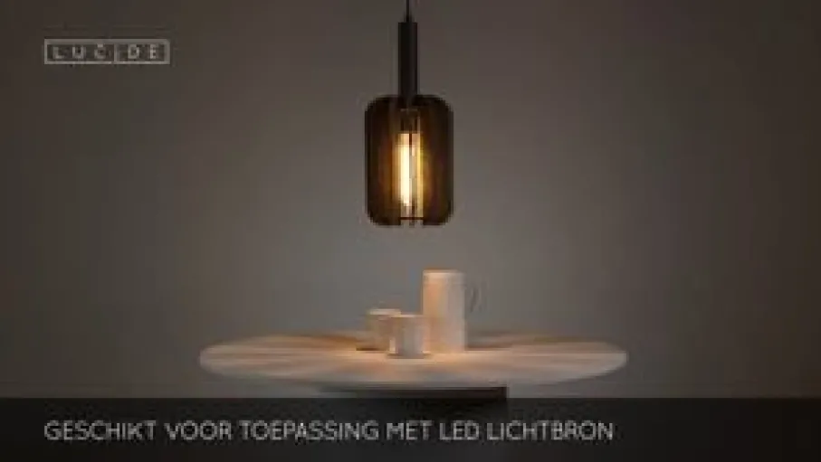 Hanglampen<Lucide Hanglamp Rafal Grijs - E27 - Ø 20 cm