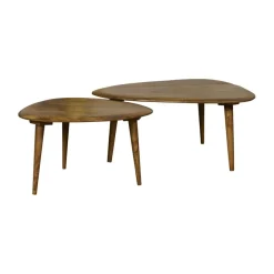 Salontafels< Salontafel Lombok Honingbruin - set 2 stuks