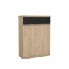 Opbergkasten|Schoenenkasten< Schoenenkast Luna Eiken - 81x112x40 cm
