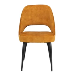 Eetkamerstoelen< Stoel Duiven Goud