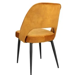 Eetkamerstoelen< Stoel Duiven Goud
