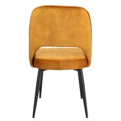 Eetkamerstoelen< Stoel Duiven Goud