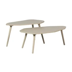 Bijzettafels<WOOOD Bijzettafel Davina Dust - set 2 stuks