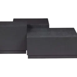 Bijzettafels<WOOOD Bijzettafel Pim Zwart - set 3 stuks