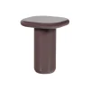 Bijzettafels<WOOOD Bijzettafel Zava Donkerbruin - Ø 50 cm