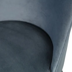 Eetkamerstoelen<WOOOD Eetkamerstoel Vogue Blauw