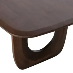 Salontafels<WOOOD Salontafel Frequent Donkerbruin - 120x60 cm