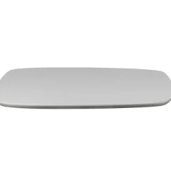 Tafelbladen<WOOOD Tafelblad Tablo Mist - 220x100 cm