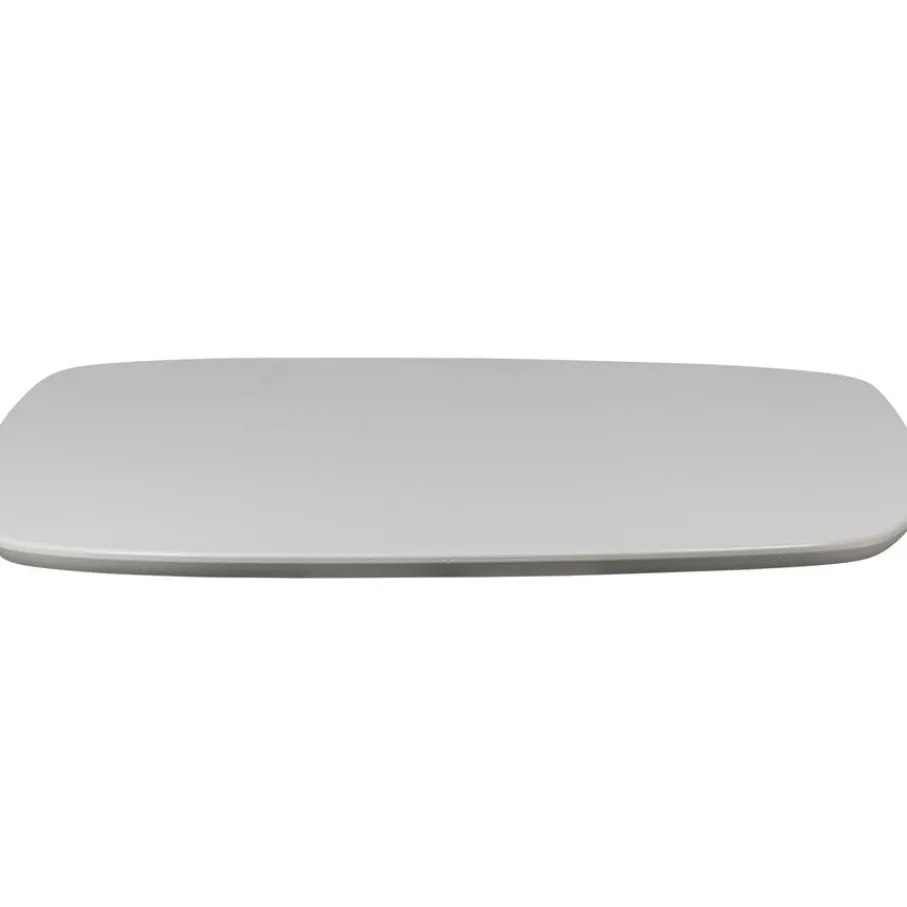 Tafelbladen<WOOOD Tafelblad Tablo Mist - 220x100 cm